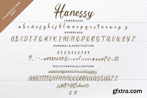 Hanessy Feminine Script