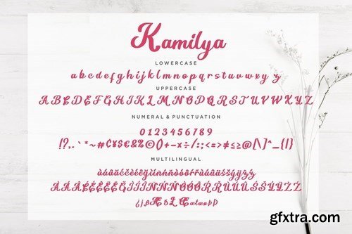 Kamilya Handwritten Script