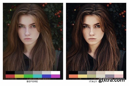 50 Renaissance Lightroom Presets and LUTs