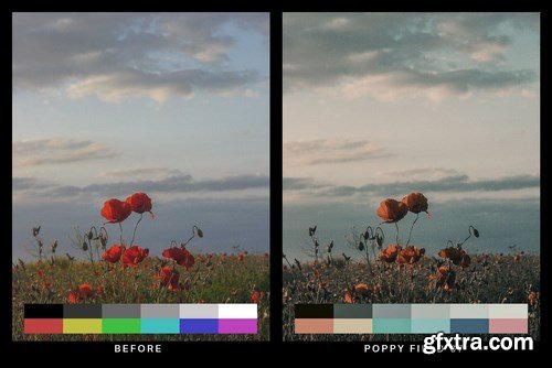 50 Desolated Cinematic Lightroom Presets and LUTs