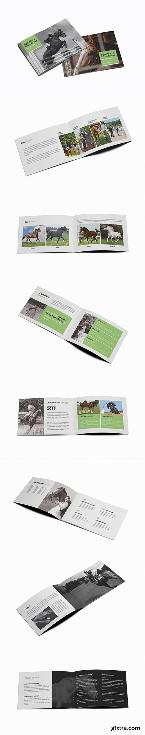 Equestrian & Horse Riding A5 Brochure