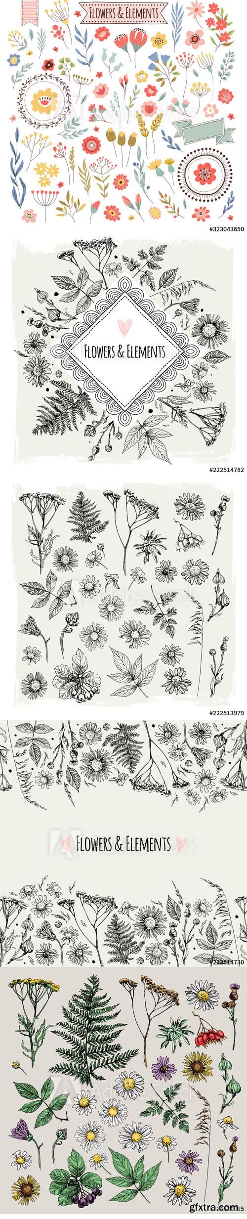 Set of illustrations of plants and flowers
