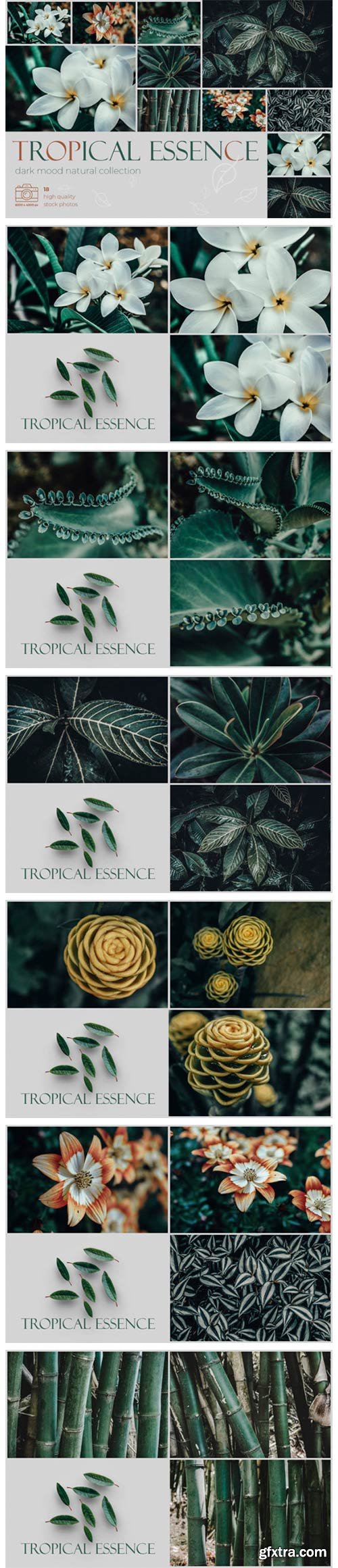 Tropical Essence. Photo Bundle 4040778