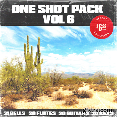 Shoe 100+ One Shot Pack Vol 6 WAV