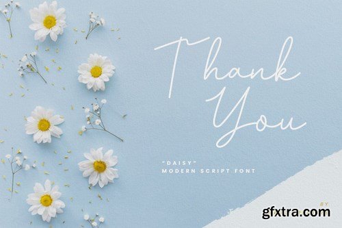 Daisy - Modern Script Font