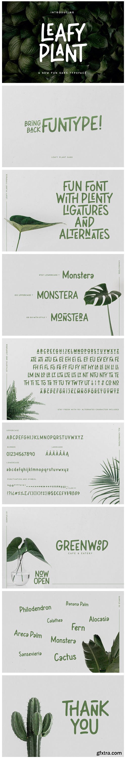 Leafy Plant Font