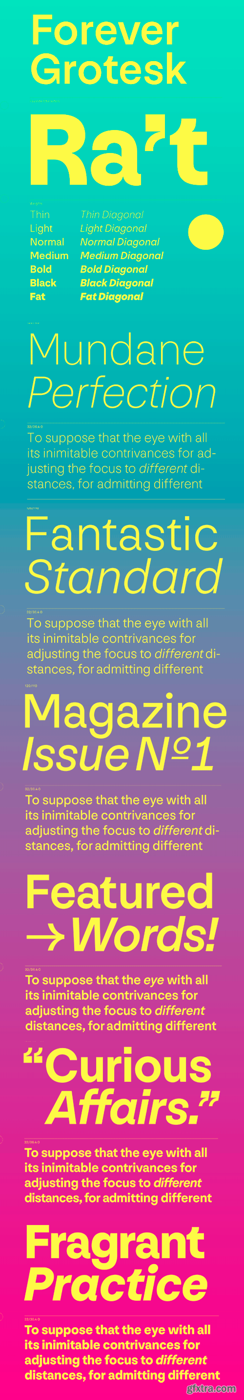 Forever Grotesk Font Family