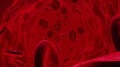 Videohive - Blood Cell Hd