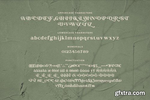 Christopher Wells - Elegant Serif Font