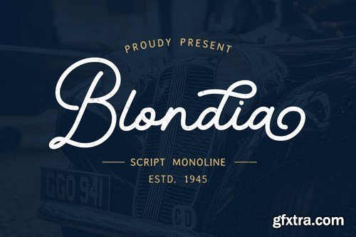 Blondia - Elegant Vintage Monoline Script