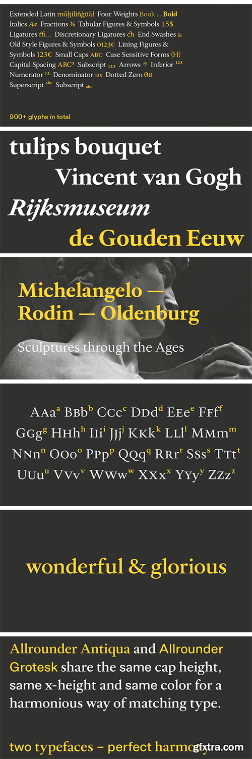 Allrounder Antiqua Font Family