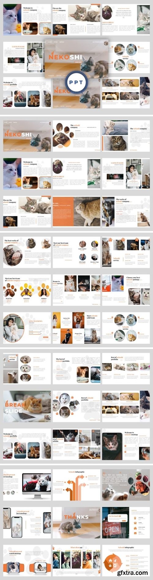 Nekoshi – Pet Business PowerPoint 4067687