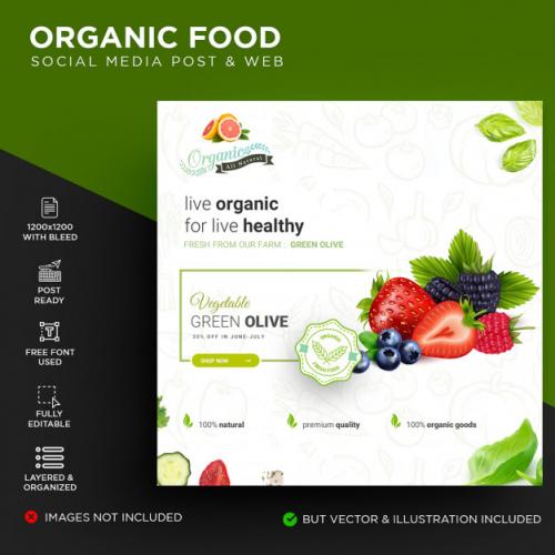 Organic Food Banner Premium PSD