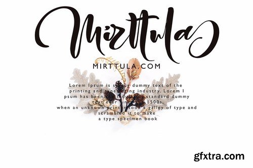 CM - Gesttrak Stunning Script Fonts 4900705