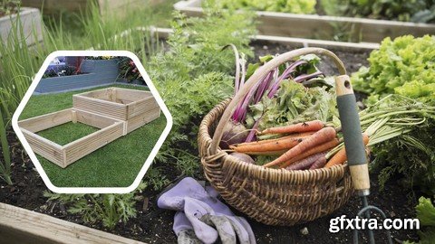 5 Easy-to-grow vegetables + stackable vegetable planter