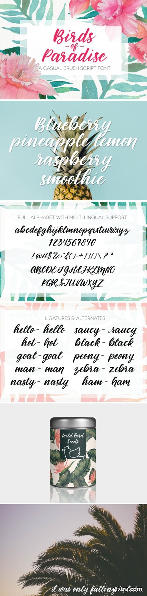 Birds of Paradies Font