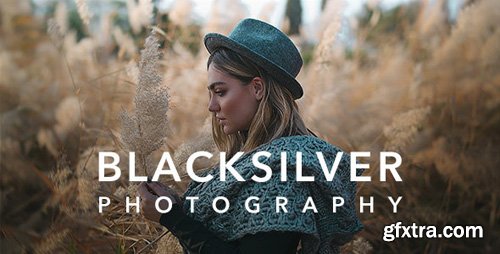 ThemeForest - Blacksilver v3.5 - Photography Theme for WordPress - 23717875