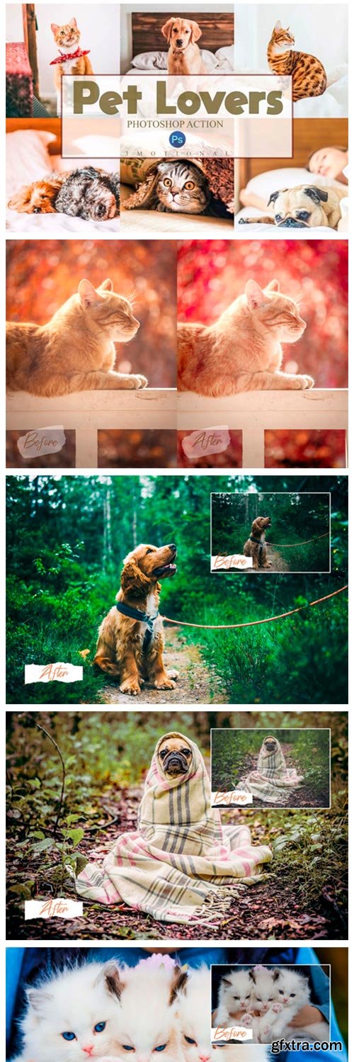 14 Pet Lovers Photoshop Actions ACR Luts 4117513