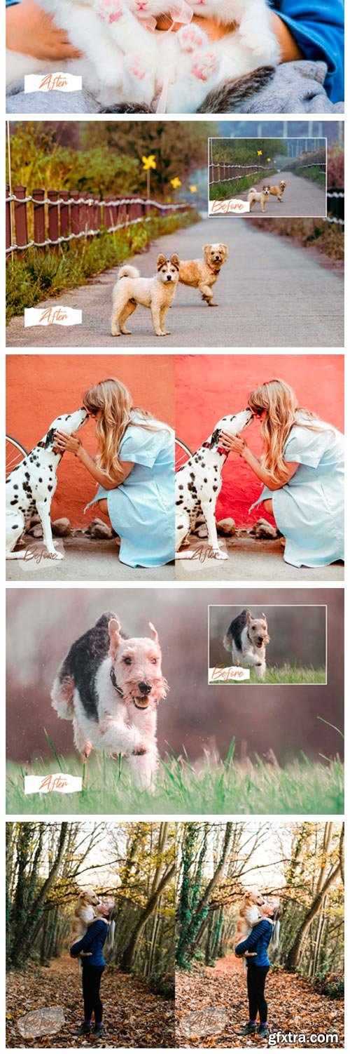 14 Pet Lovers Photoshop Actions ACR Luts 4117513