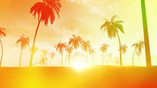 Videohive - Summer Sunset Background