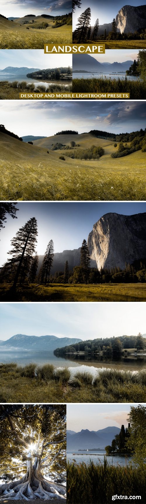 Landscape Desktop & Mobile Presets 4127196