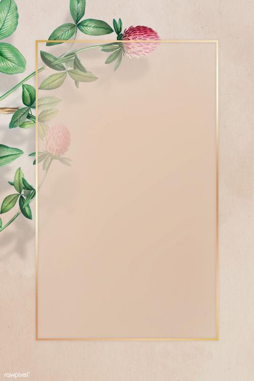 Blank golden Cudweeds frame illustration - 2090529