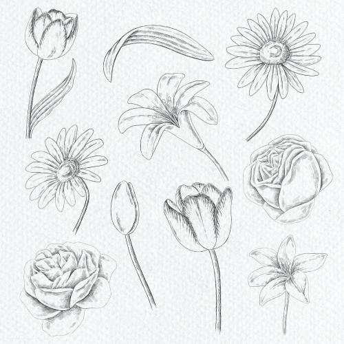 Vintage flower drawing set illustration mockup - 2100673