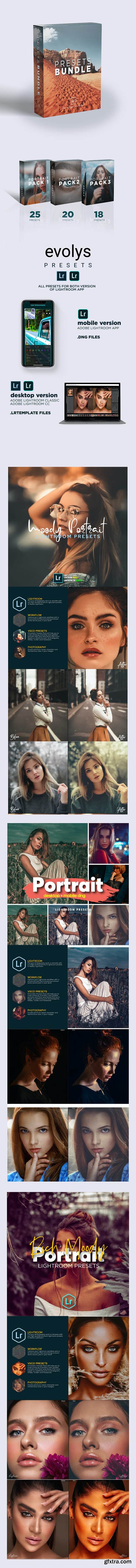 GraphicRiver - Premium Portrait Lightroom Bundle For Mobile and Desktop Lightroom 26535625