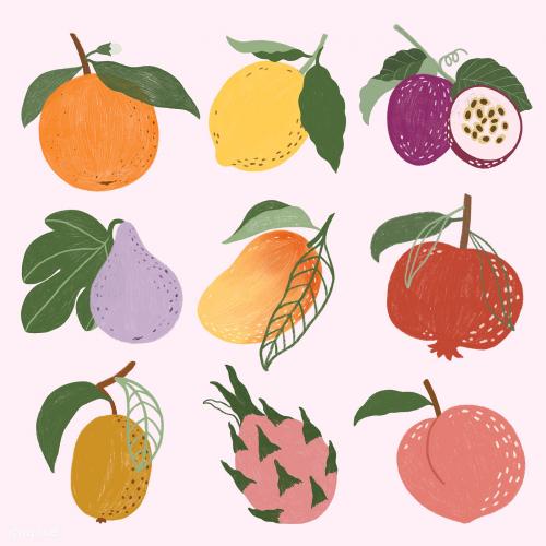 Hand drawn fruits design resource pack mockup - 2206742