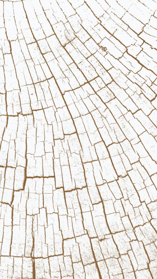 Bleached tree rings textured mobile phone wallpaper - 2252045