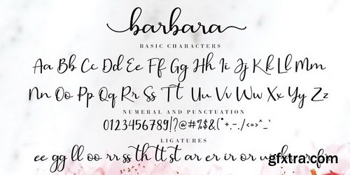 Barbara Calligraphy Font Family