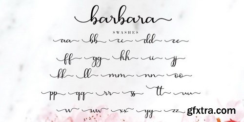 Barbara Calligraphy Font Family