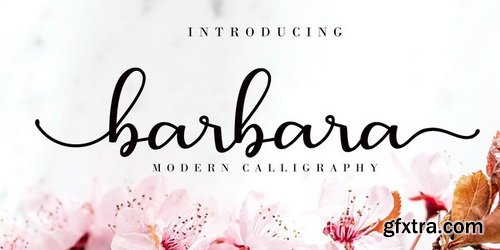 Barbara Calligraphy Font Family