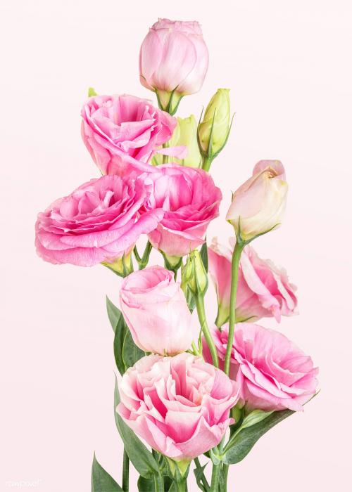 Bouquet of pink lisianthus flower mockup - 2278256