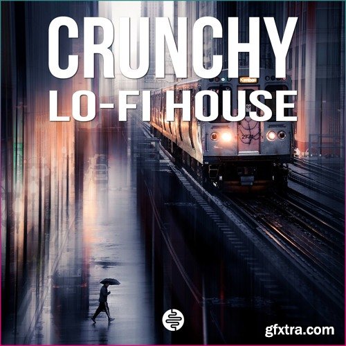 OST Audio Crunchy Lo-Fi House WAV-DISCOVER