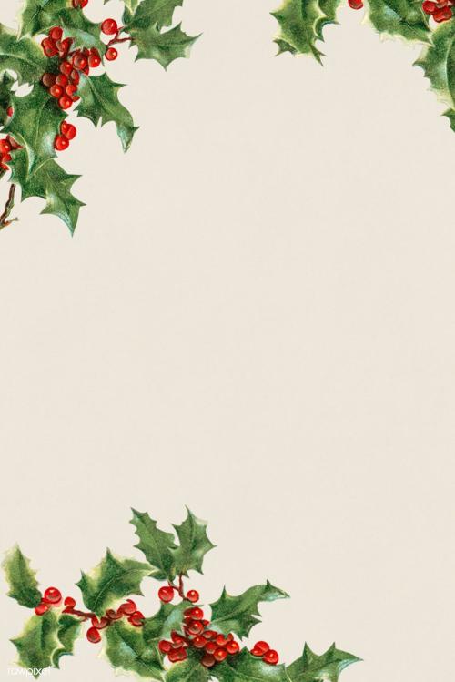 Blank holly leaves frame illustration - 1232758