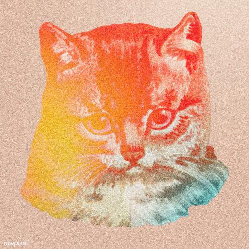 Staring cat sticker illustration - 1234846