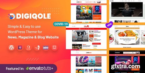 ThemeForest - Digiqole v1.2.5 - News Magazine WordPress Theme - 24304706