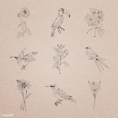 Hand drawn birds and flowers collection illustration - 2042136