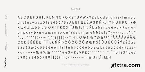 Myfonts TT Norms Std Condensed Font Family - 18 Fonts