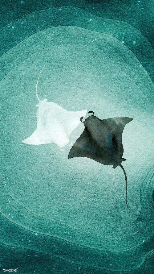 Watercolor painted manta rays in green water banner template - 2045328