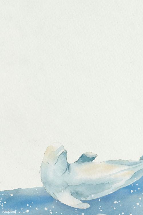 Watercolor painted Beluga Whale at the water surface banner template - 2045336