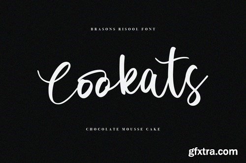 Brasons Risool Modern Script Font