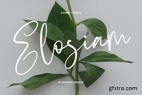 Elosiam Script Typeface