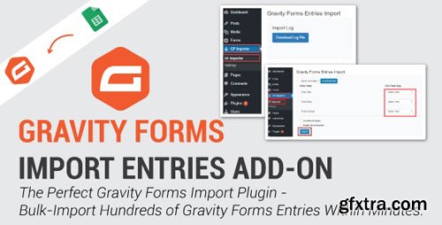 CodeCanyon - Gravity Forms Import Entries v1.2.2 - 24169576