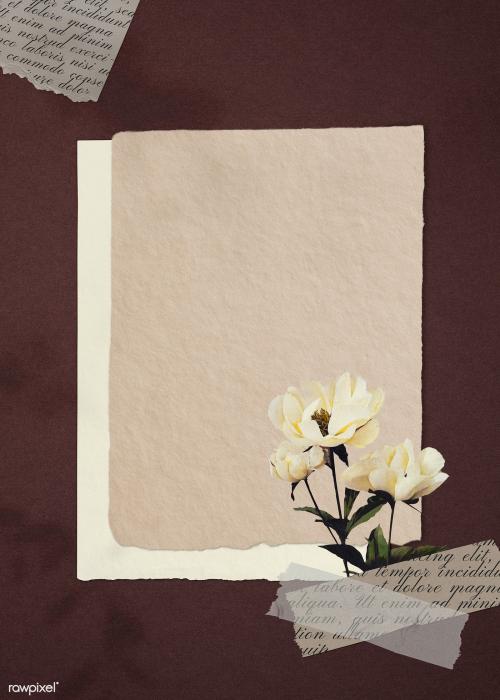 White peonies on paper textured background illustration - 1217318