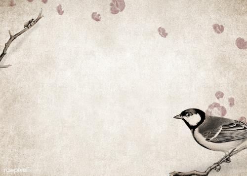 Talgoxe great tit on a grunge brown background illustration - 1217361