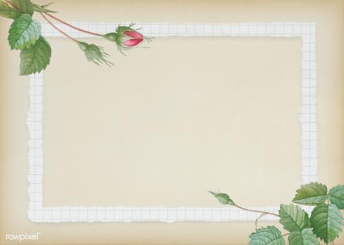 Double moss rose with grid white frame on beige background illustration - 1217372