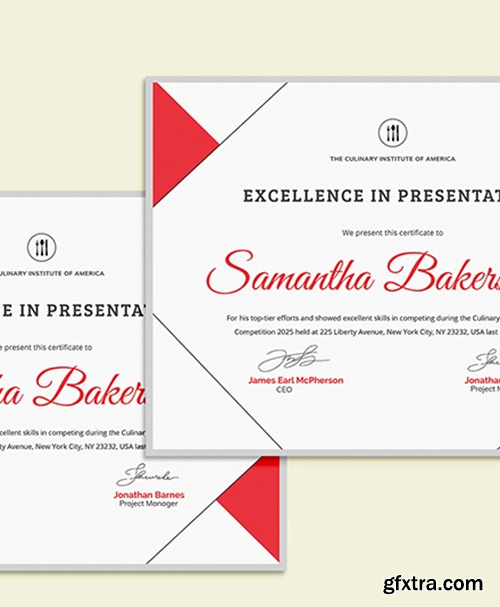 Excellence-Award-Certificate-Download-1