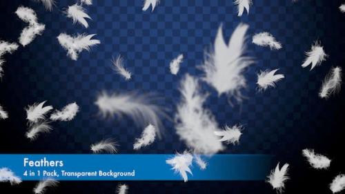 Videohive - Feathers Overlays Pack